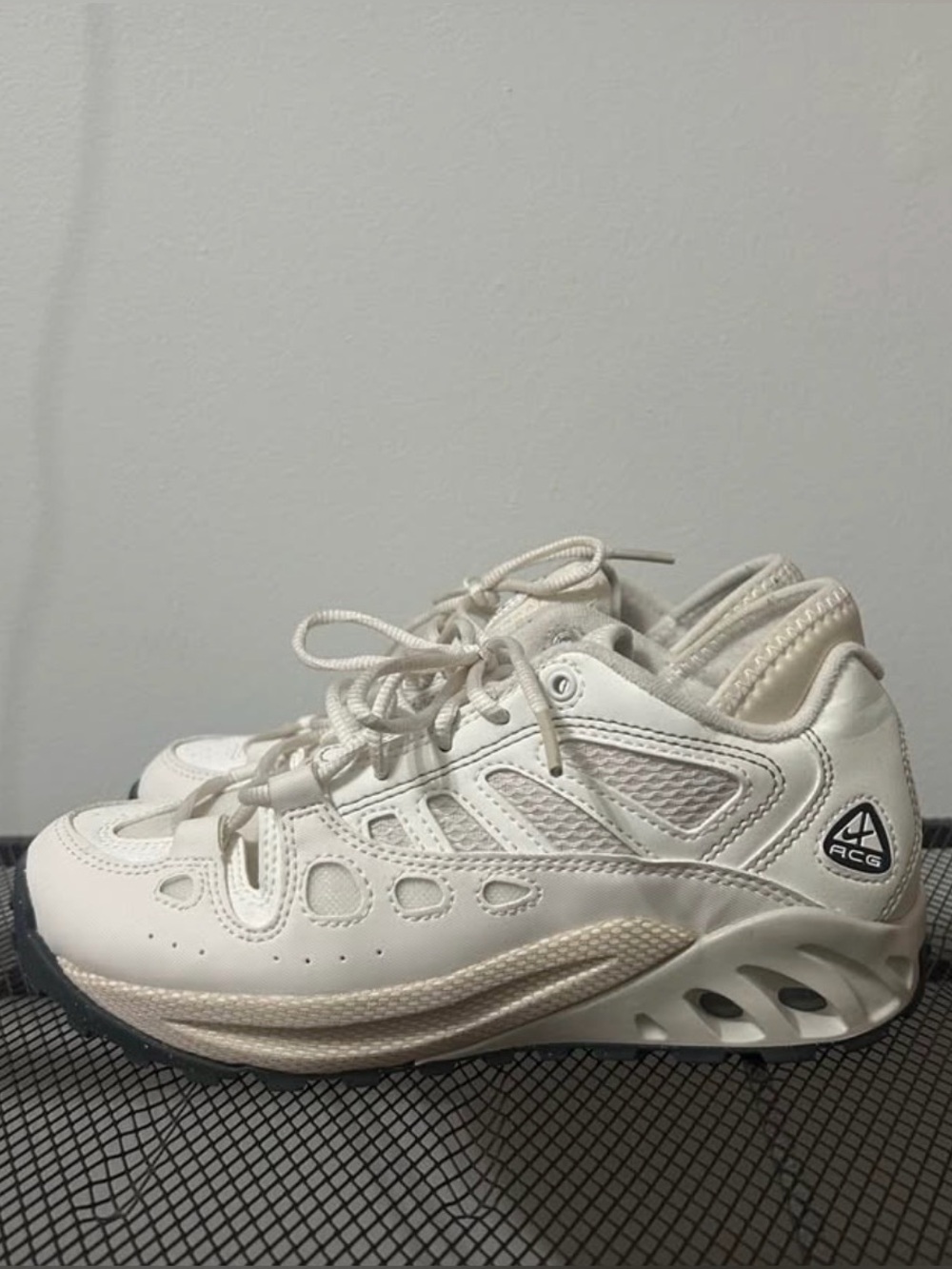 Nike ACG Exploraid Sneakers